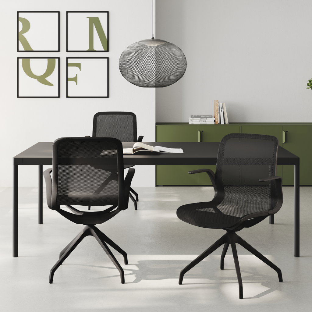 Collection Trama