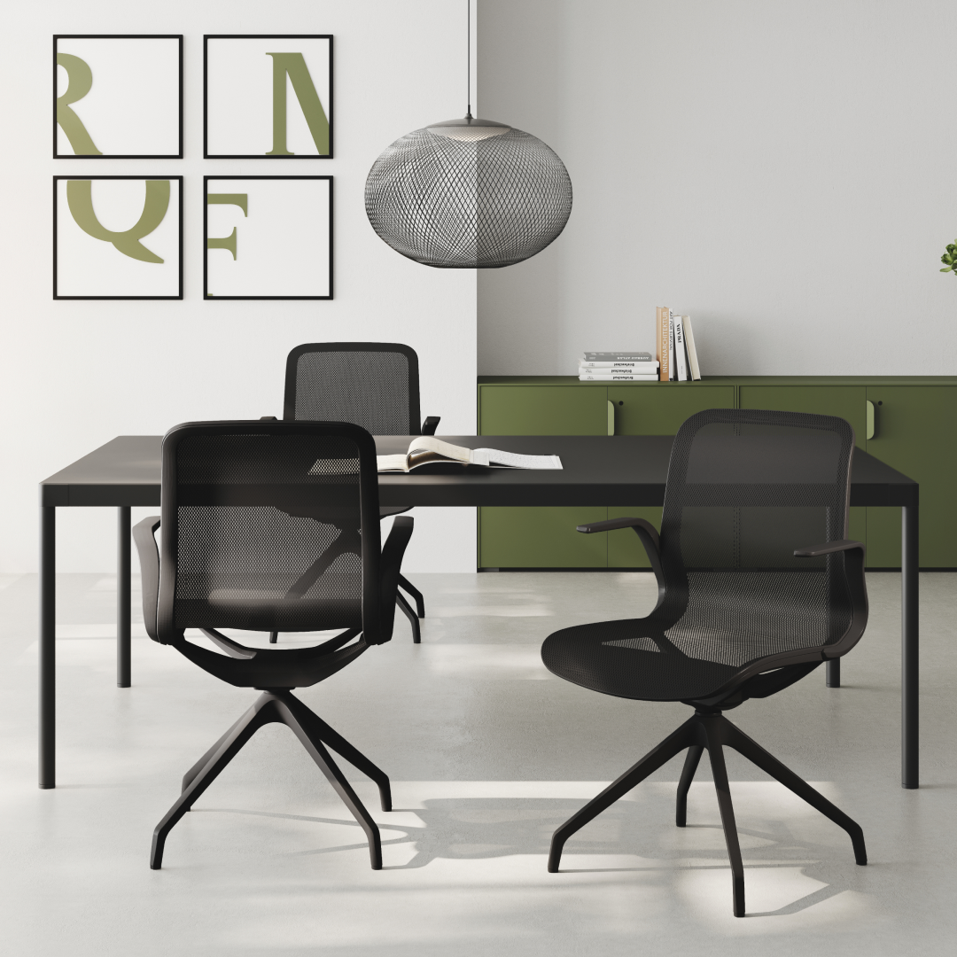 Collection Trama